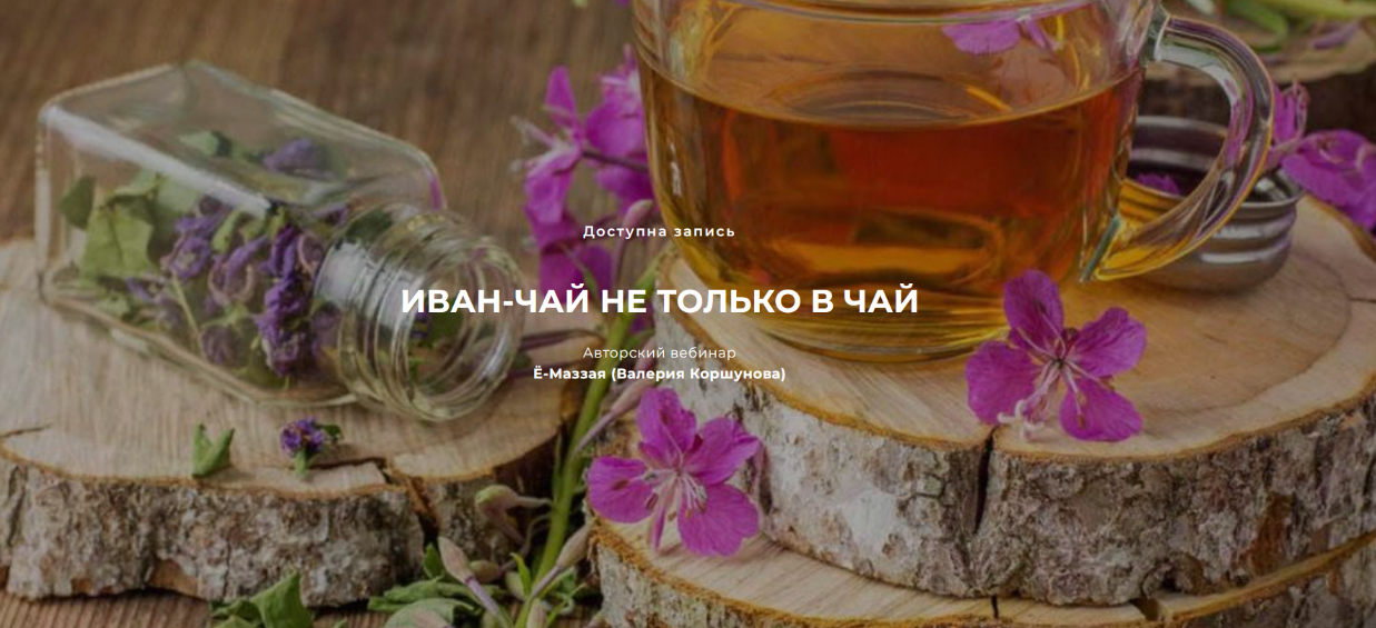 Валерий Коршунов festtrav Иван-чай не только в чай 2023 слив курса
