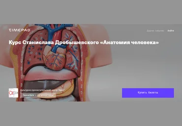 Станислав Дробышевский Архэ Анатомия человека. Лекция 8. Неврология: мозг 2024 слив
