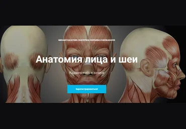 Михаил Касаткин Кадавер-курс «Анатомия лица и шеи» 2020 слив