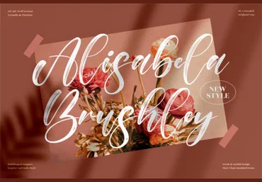 Creativefabrica Alisabela Brushley Font 2021 слив