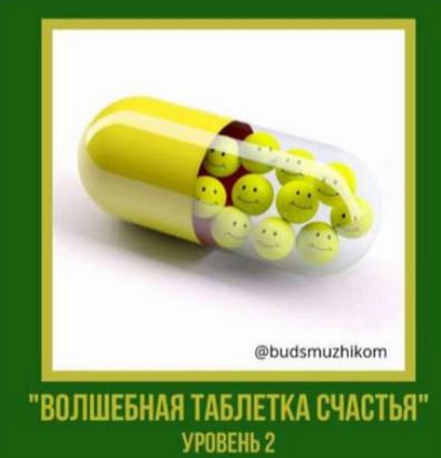 Владимир Баранов Волшебная таблетка счастья. Уровень 2. Будь с мужиком 2025 слив курса