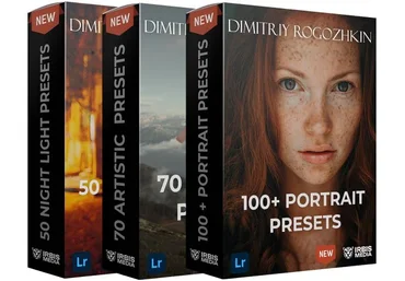 Dmitry Rogozhkin 220 художественных пресетов для Lightroom 2021 слив