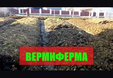 Вермиферма Разведение червей и производство биогумуса 2021 слив