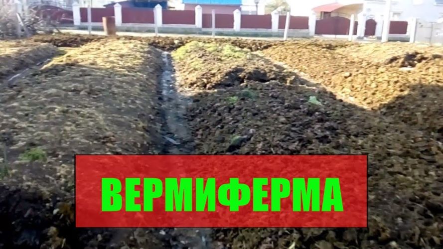 Вермиферма Разведение червей и производство биогумуса 2021 слив курса