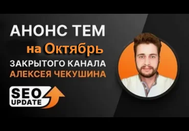 Алексей Чекушин Закрытый телеграм-канал «Seo Update». Октябрь 2024 скачать слив