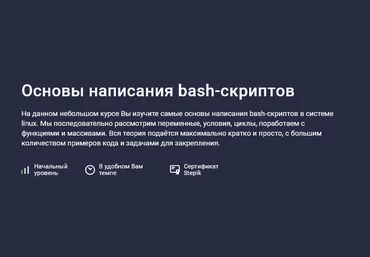 Максим Иванов Stepik Основы написания bash-скриптов 2025 слив