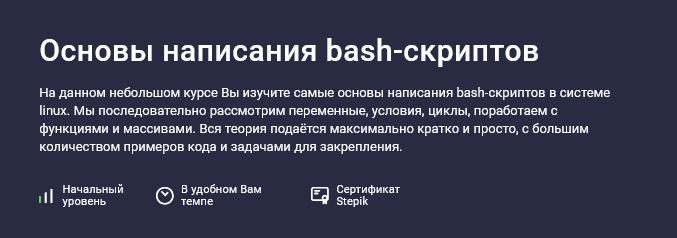 Максим Иванов Stepik Основы написания bash-скриптов 2025 слив курса