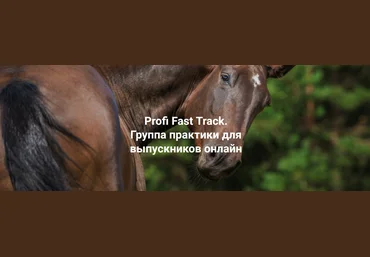 Елена Веселаго Profi Fast Track. Травма и переплетение: с чего начать работу 2023 слив
