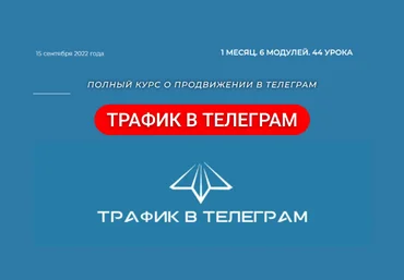 Р. Гибадуллин, Л. Гибадуллина, А. Гучинов, Ш. Браун Telegram Hero Трафик в Телеграм 2022 скачать слив