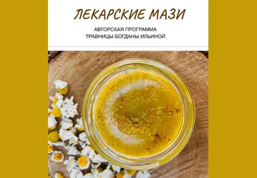 Богдана Ильина Лекарские мази 2024 слив