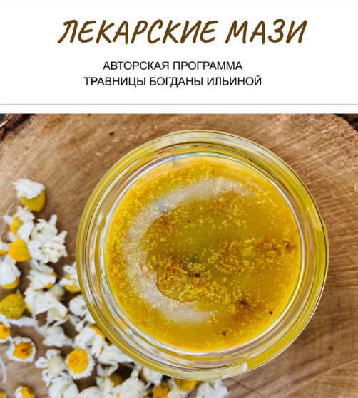 Богдана Ильина Лекарские мази 2024 слив курса
