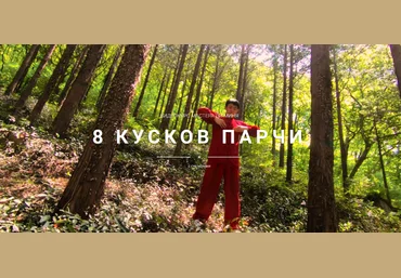 Мастер Ли Минь Школа Хэ Дао 8 кусков парчи 2024 слив
