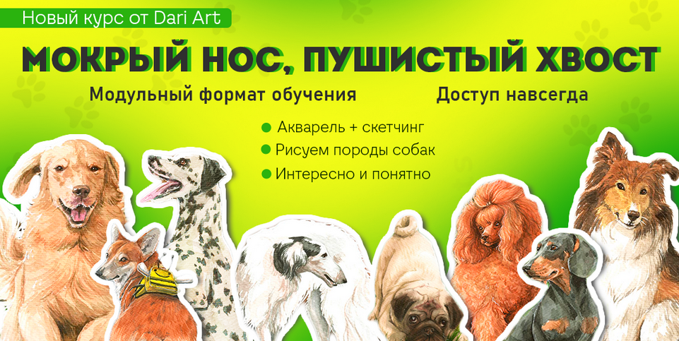 Дарья Долгополова Dari Art Мокрый нос, пушистый хвост 2024 слив курса