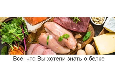 Валерий Подрубаев humberto 2.0 Всё, что Вы хотели знать о белке 2023 слив