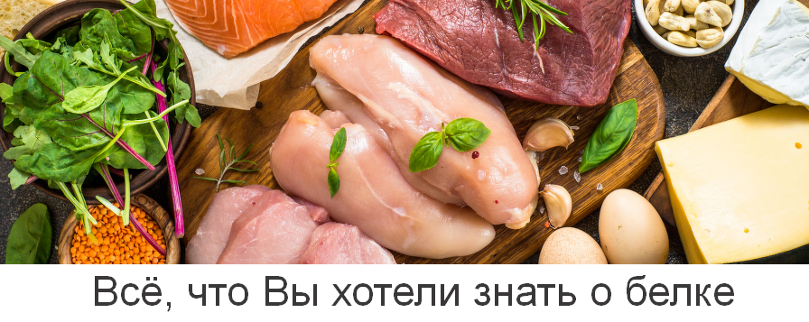 Валерий Подрубаев humberto 2.0 Всё, что Вы хотели знать о белке 2023 слив курса