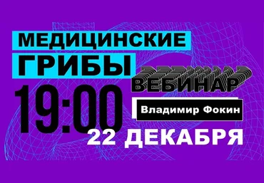 Владимир Фокин Медицинские грибы 2020 слив