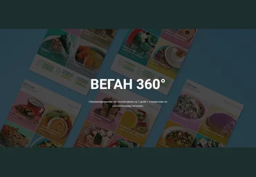 Настя Лисица Веган 360°. Меню на 7 дней + справочник по растительному питанию 2020 слив