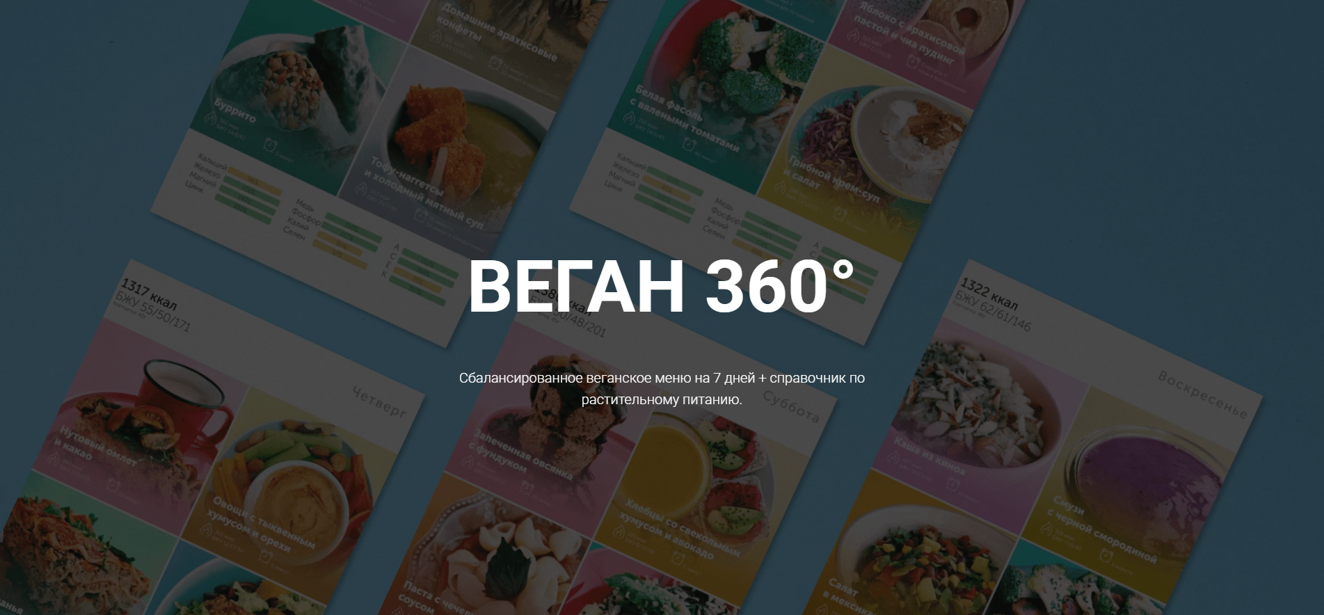 Настя Лисица Веган 360°. Меню на 7 дней + справочник по растительному питанию 2020 слив курса
