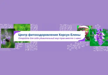 Елена Корсун Травы от гипертонии 2021 слив