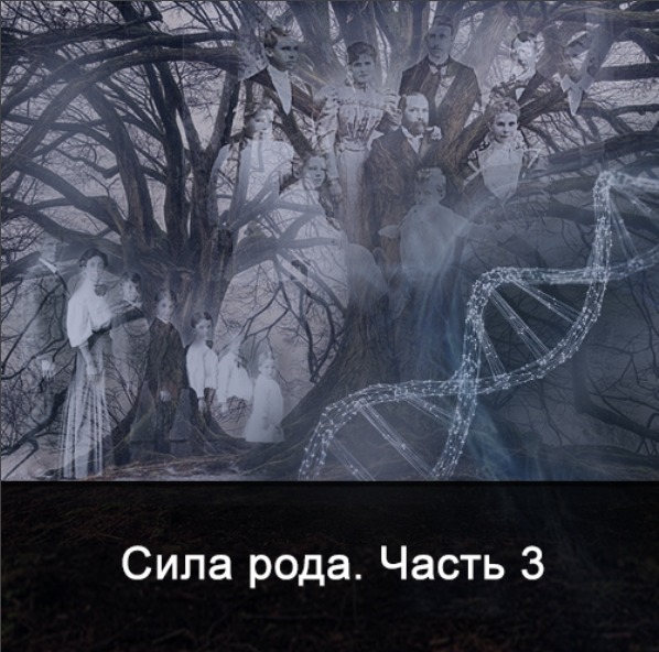 Ксения Меньшикова Сила Рода. Часть 3 2022 слив курса