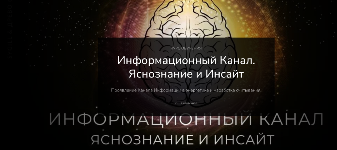 Magnasledie Lea Adje - Информационный Канал. Яснознание и Инсайт 2023 слив курса