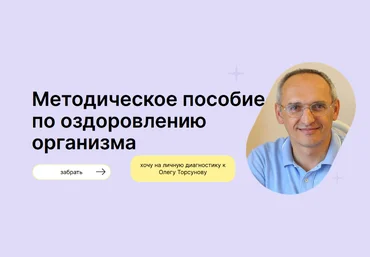 Олег Торсунов Методическое пособие по оздоровлению организма 2024 слив