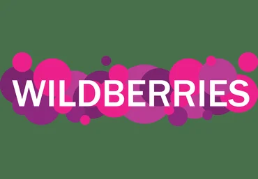 Майя Драган Миллион на Wildberries 2.0 2019 слив