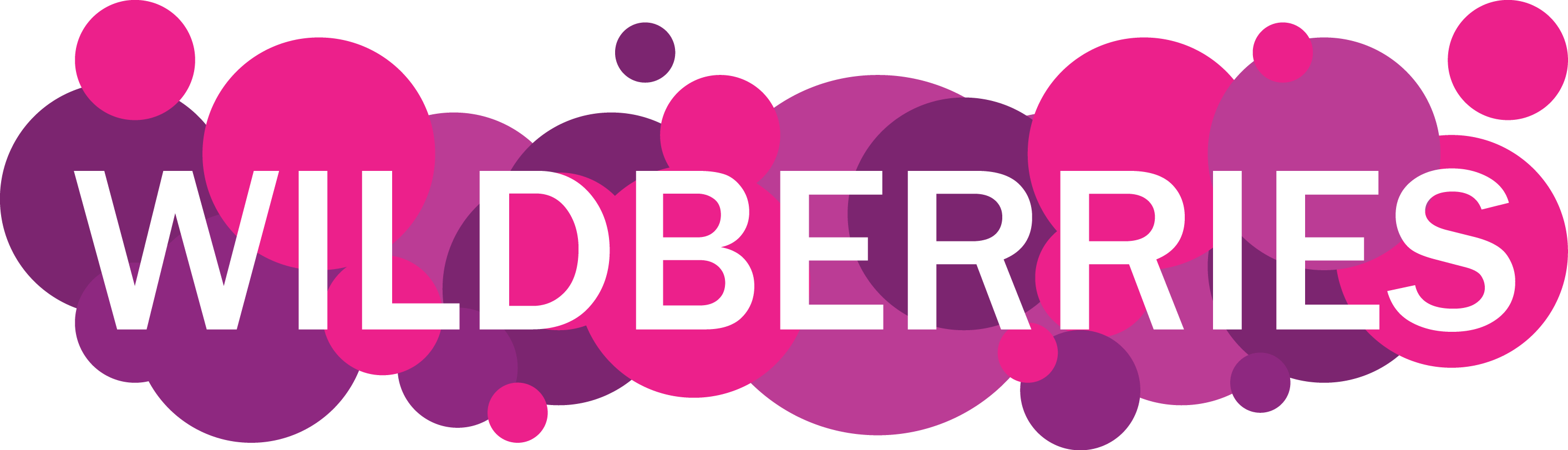 Майя Драган Миллион на Wildberries 2.0 2019 слив курса