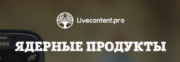 Юрий Черников Ядреные продукты в инфобизнесе 2018 слив курса