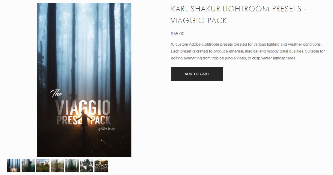Karl Shakur Lightroom Presets - Viaggio Pack 2020 слив курса