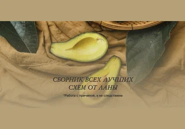 Светлана Литвиненко Сборник всех лучших схем 2025 скачать слив