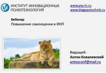 Работа с самооценкой в Интегральном Нейропрограмировании Ковалевский А. слив