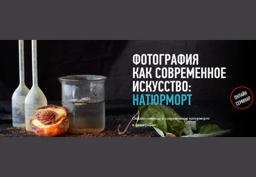 Фотография как современное искусство: Натюрморт - Зейгарник profileschool 2017 слив