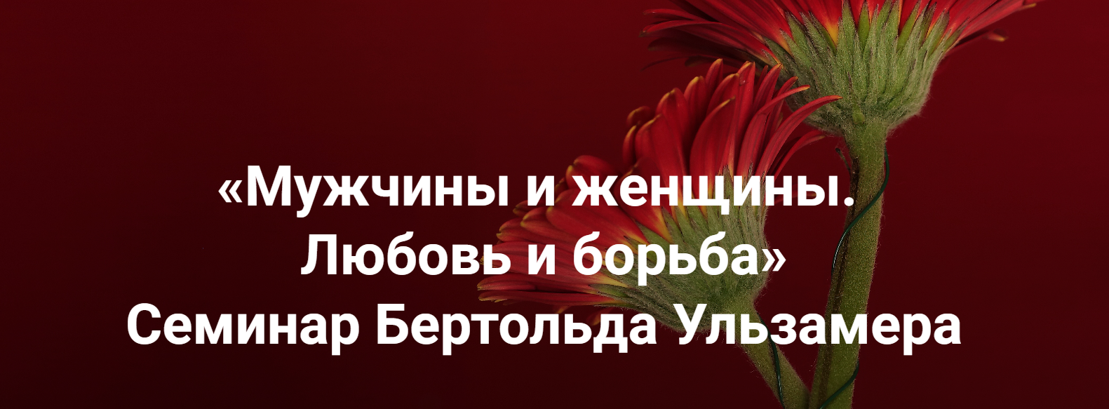 Институт Открытого поля Бертольд Ульзамер ― Мужчины и женщины. Любовь и борьба. Расстановки отноше слив курса