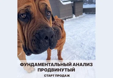 Vesperfin Арина Веспер - Фундаментальный анализ 2020 слив