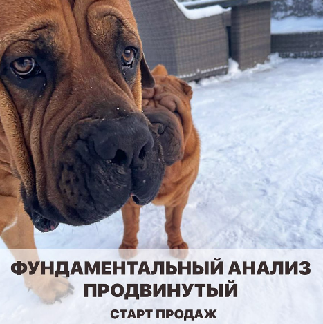 Vesperfin Арина Веспер - Фундаментальный анализ 2020 слив курса
