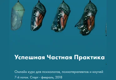 Прибыльная практика для психологов - Ольга и Кирилл Кошкины слив