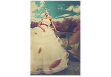 Учебный пакет Art Wedding и Wedding Max Twain слив
