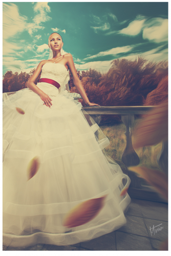 Учебный пакет Art Wedding и Wedding Max Twain слив курса