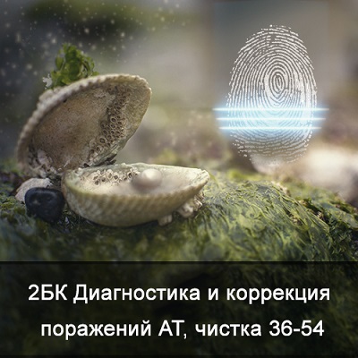 Ксения Меньшикова 2БК Диагностика и коррекция поражений АТ, чистка от 36 до 54 лет 2021 слив курса