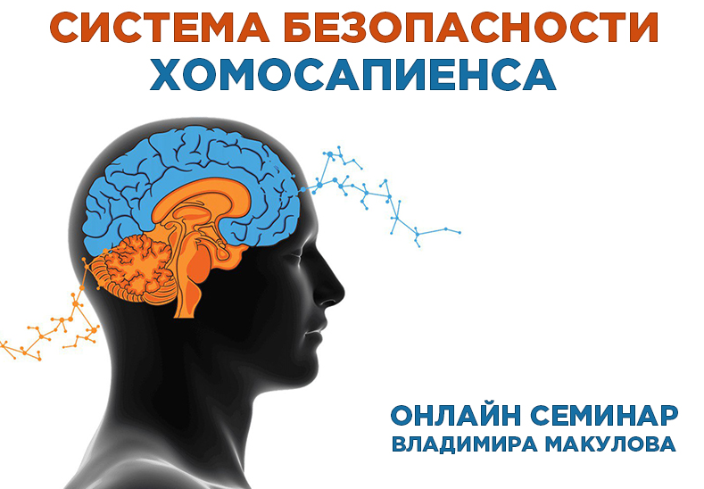 Владимир Макулов Система безопасности хомосапиенса 2023 слив курса