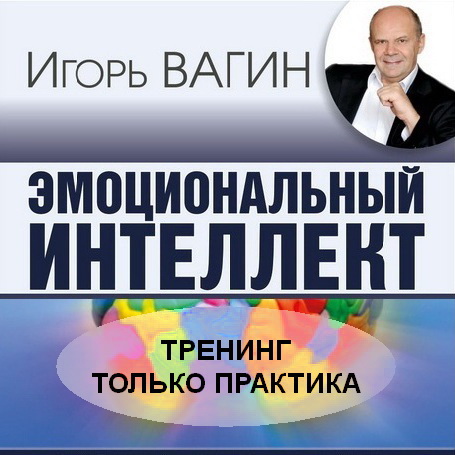 Эмоциональный интеллект - Вагин 2016 слив курса