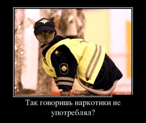 Мудрость души. Или как зависимость превратить в терапию - Бурхаев 2015 слив курса