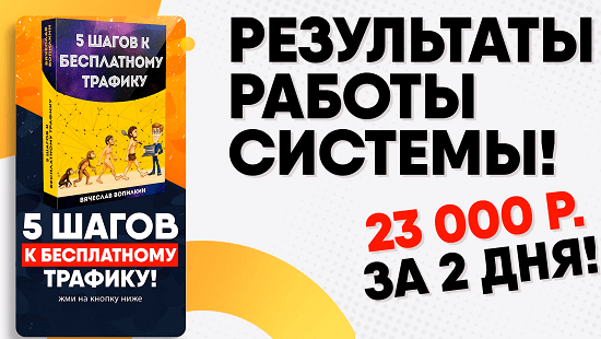 Вячеслав Вопилкин 5 шагов к бесплатному трафику слив курса