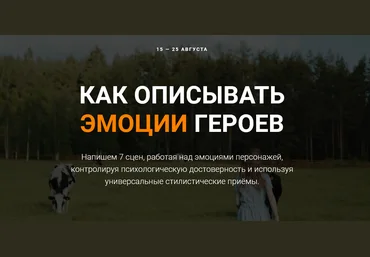 Курсы писательского мастерства Как описывать эмоции героев 2022 слив