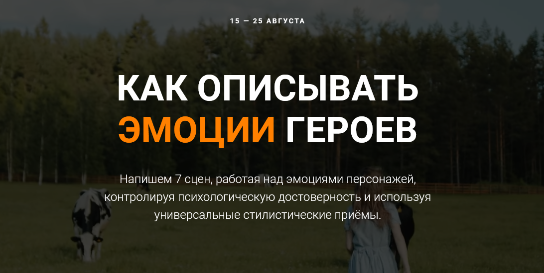 Курсы писательского мастерства Как описывать эмоции героев 2022 слив курса