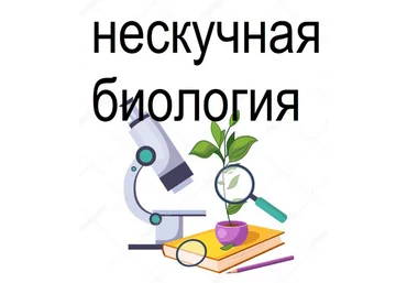 Татьяна Марышева Нескучная биология. 5-6 класс 2023 слив
