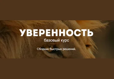 Уверенность - Смирнов 2017 слив