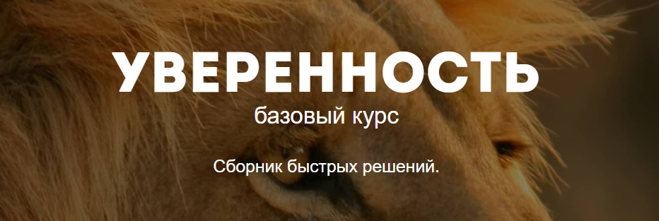Уверенность - Смирнов 2017 слив курса
