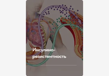 Елена Ержанова Лечебный протокол «Инсулинорезистентность».Тариф без обратной связи 2023 слив